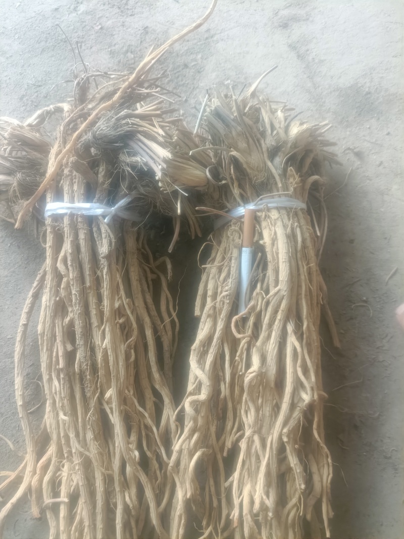 （推荐）防风条保质保量产地一手货源可视频看货欢迎选购