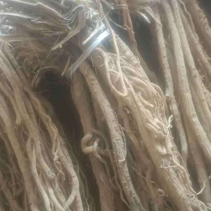 （推荐）防风条保质保量产地一手货源可视频看货欢迎选购