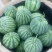 二茬麒麟西瓜