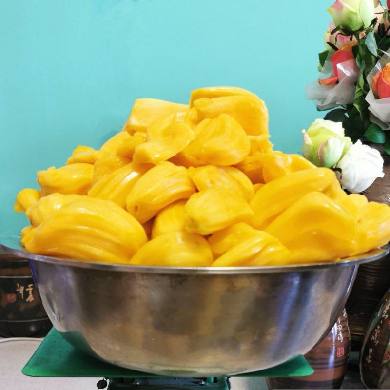 马来西亚1号菠萝蜜精品云南屏边大果低海拔山地