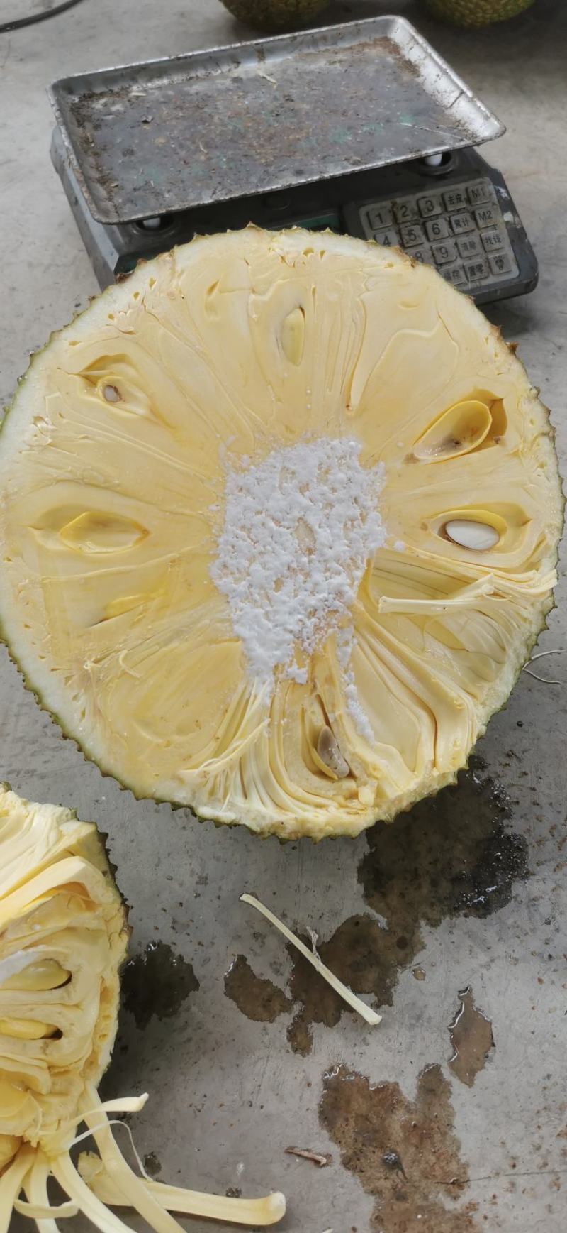 马来西亚1号菠萝蜜精品云南屏边大果低海拔山地