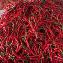 云南精品小米辣椒，场地发货，货源充足，量大从优