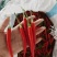 云南精品小米辣椒，场地发货，货源充足，量大从优