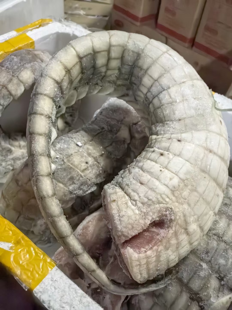 鳄鱼尾巴，鳄鱼肉