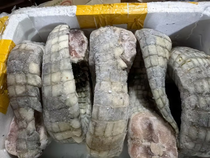 鳄鱼尾巴，鳄鱼肉