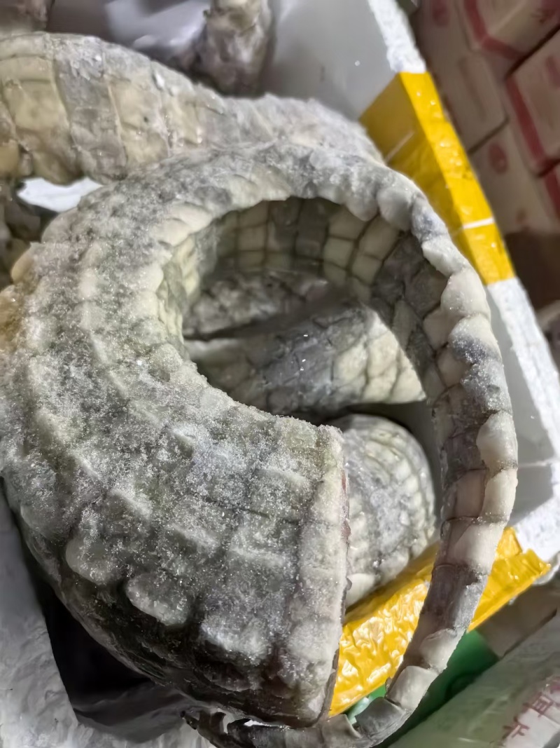 鳄鱼尾巴，鳄鱼肉