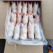 带筋前蹄干净无毛16-27各种规格厂家直销量大可谈
