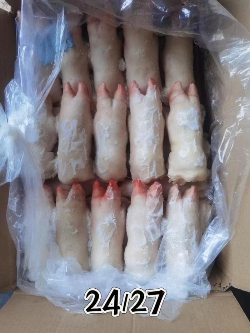 带筋前蹄干净无毛16-27各种规格厂家直销量大可谈