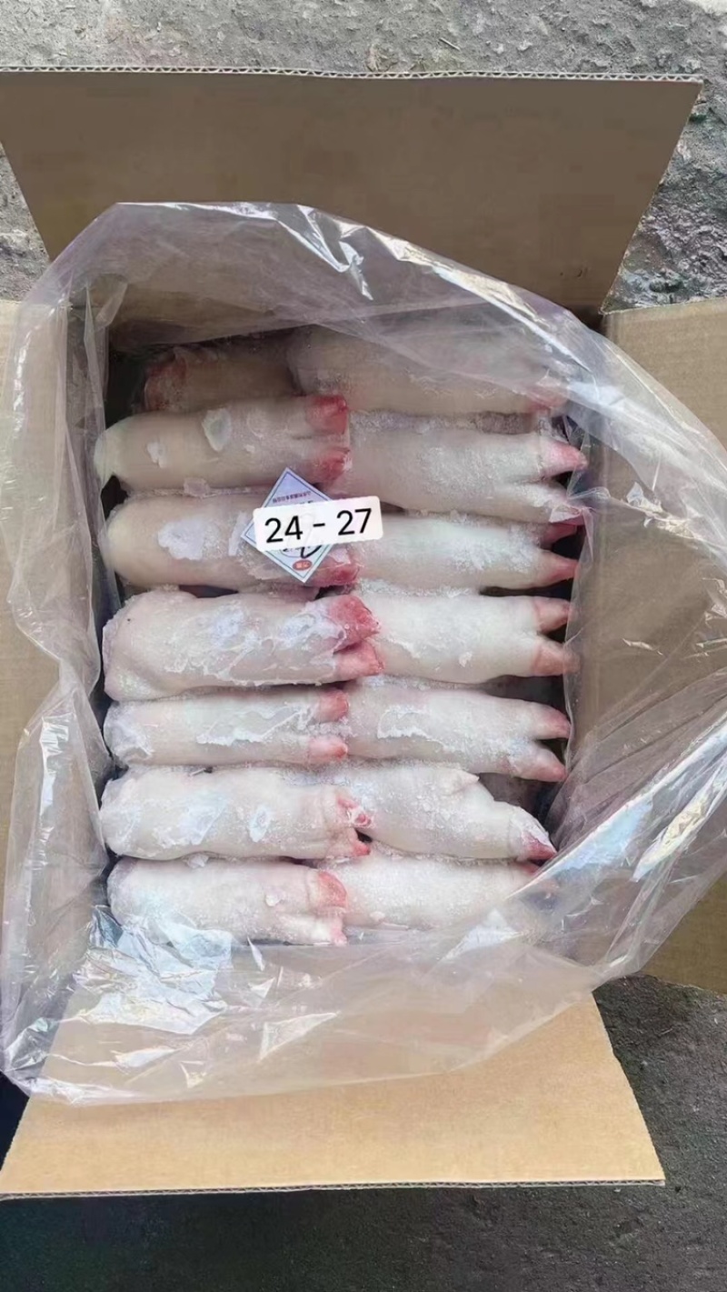 带筋前蹄干净无毛16-27各种规格厂家直销量大可谈
