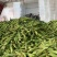 云南玉米甜玉米，糯玉米，太阳花玉米，场地直供量大从优