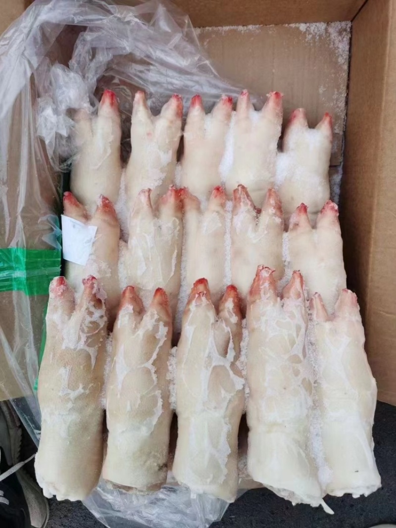 带筋前蹄干净无毛16-27各种规格厂家直销量大可谈