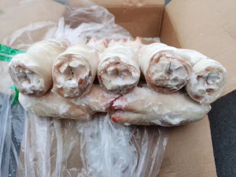 带筋前蹄干净无毛16-27各种规格厂家直销量大可谈