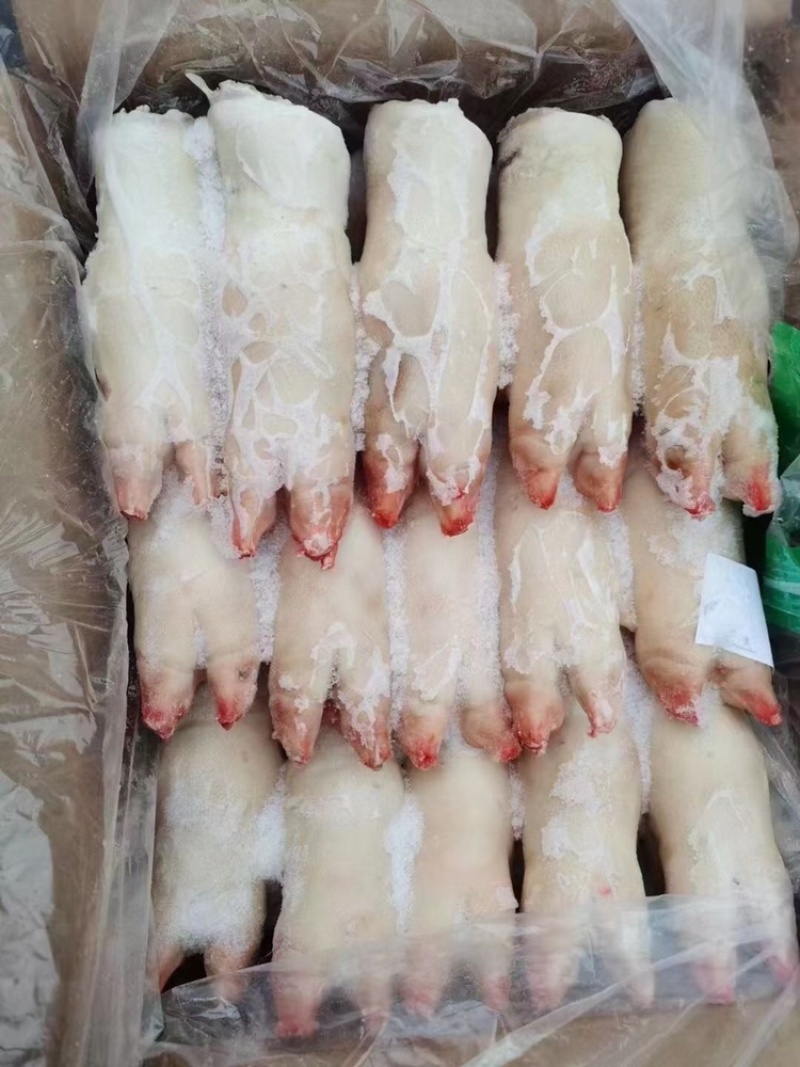 带筋前蹄干净无毛16-27各种规格厂家直销量大可谈