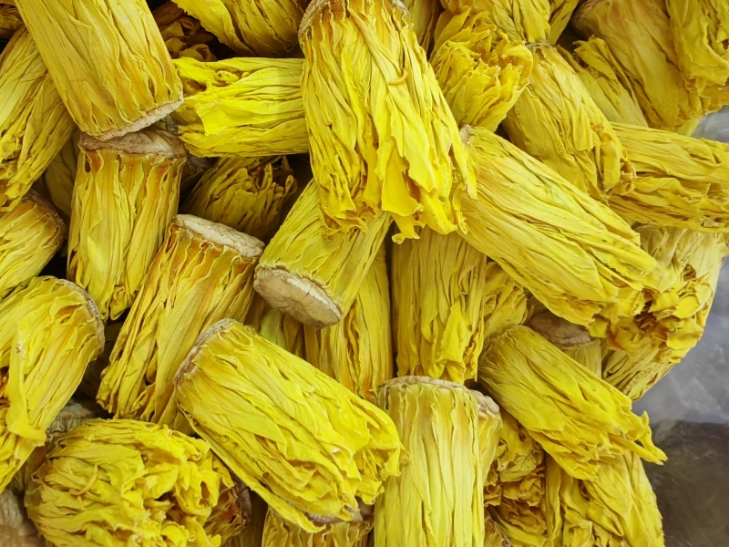 九品香水莲基地直发一件代发黄金国莲干花紫金莲花