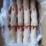带筋前蹄干净无毛16-27各种规格厂家直销量大可谈