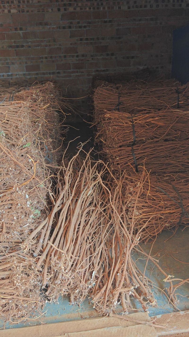 小叶红皮千斤拔干货，鲜货，吊马桩长期供应