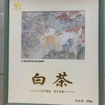 恩施白茶扁型