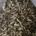 古田散装鹿茸菇干货整件批发净重整箱干货10斤火锅煲汤菌菇食材