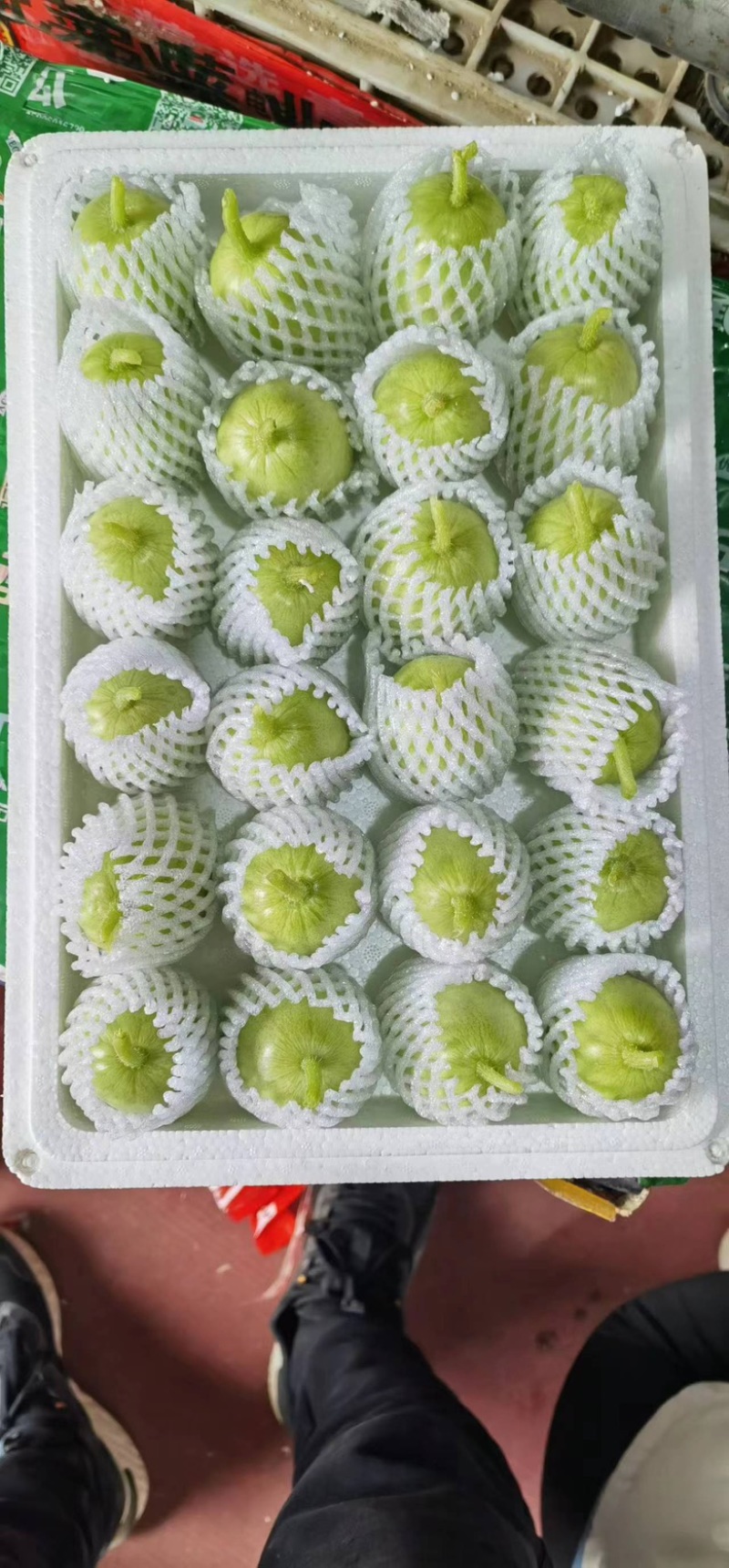 精品油亮黄瓜