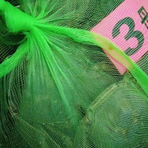 3母的母蟹规格2.6-2.8青壳白底湖北汈汊湖大闸蟹