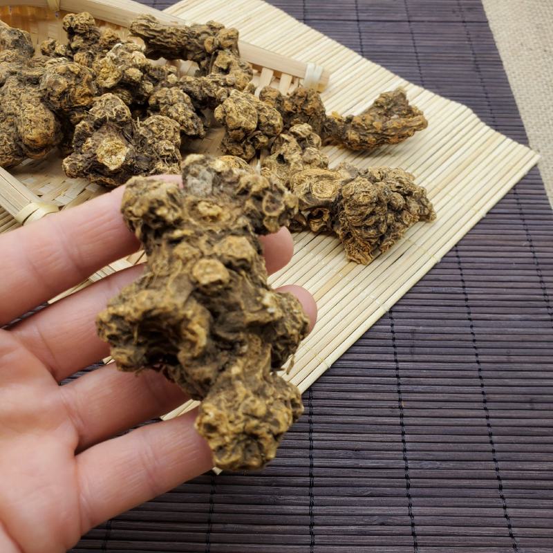 北苍术2024年新货苍术朱砂点苍术全检保含量