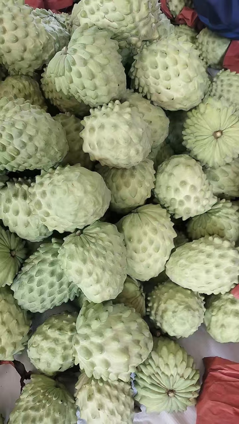 凤梨释迦产地代办供应批发市场社区团购落地配