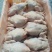 主营文昌鸡，每天新鲜屠宰1.0-1.9kg规格都有货