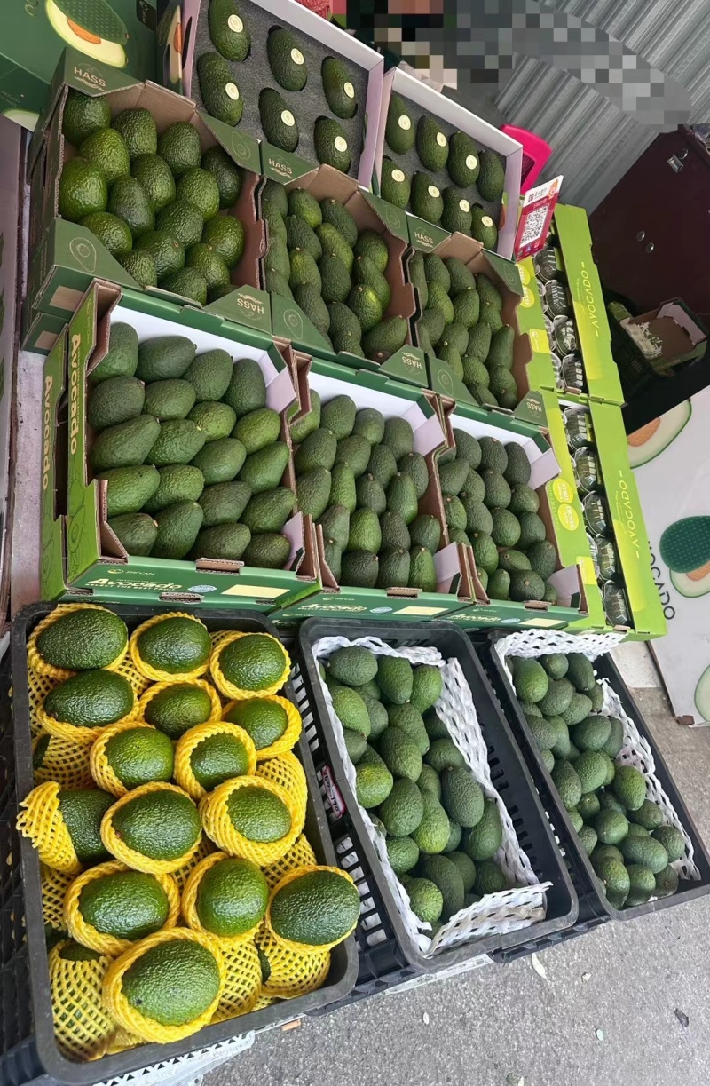 批发云南哈斯牛油果孕妇果营养丰富量大从优
