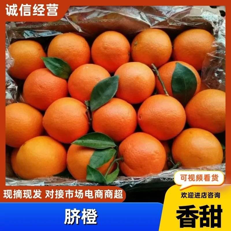 脐橙口感甜果园看货现采现摘一手货视频看货
