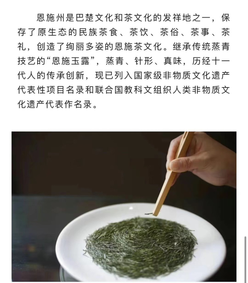 恩施特级玉露