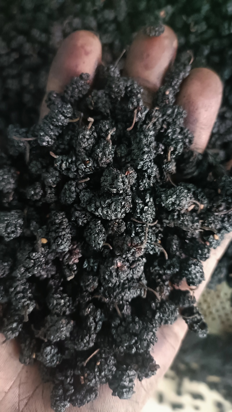 桑葚干甩卖，食用，电商，实体店，特产店都可以