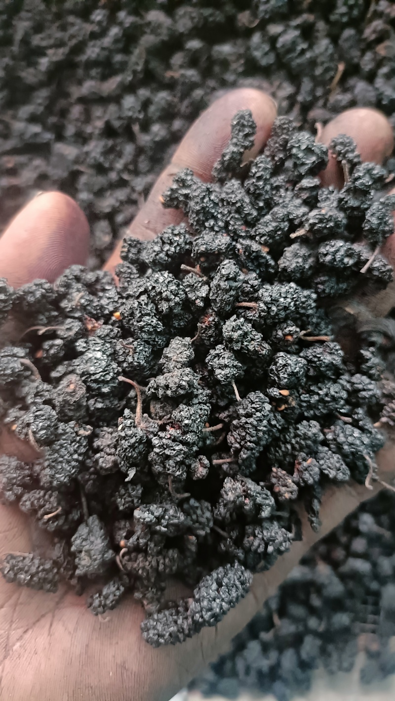 桑葚干甩卖，食用，电商，实体店，特产店都可以