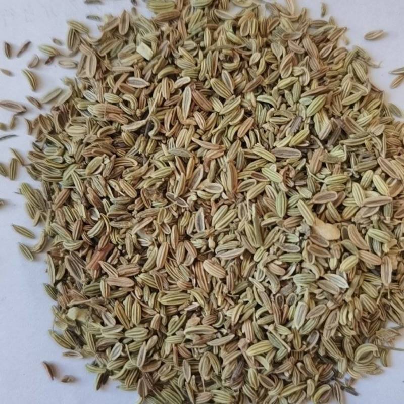 小茴香甘肃民勤产地直销！品质保证货源充足、量大从优