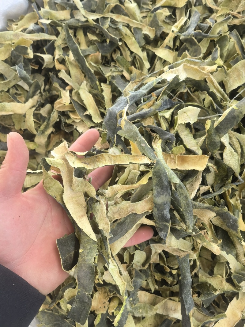 冬瓜皮，新货，颜色好可打粉关书药业批发中药材