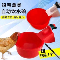家禽饮水器饮水碗