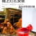 家禽饮水器饮水碗