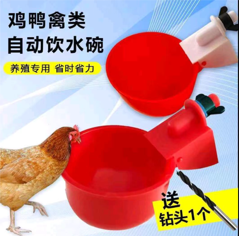家禽饮水器饮水碗
