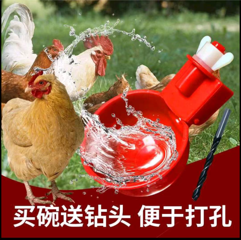 家禽饮水器饮水碗