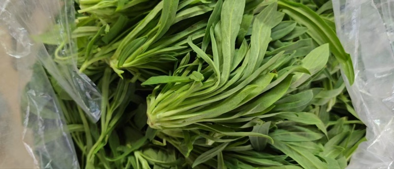 【畅销】山东特色面条菜特色野菜蔬菜量大从优