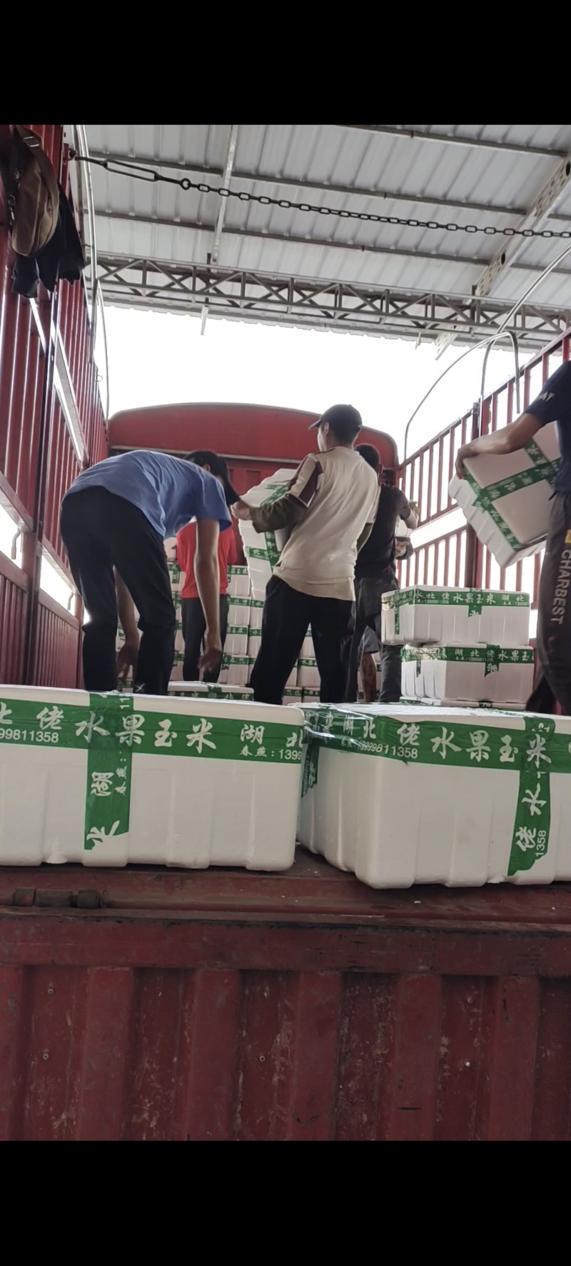 源头水果玉米