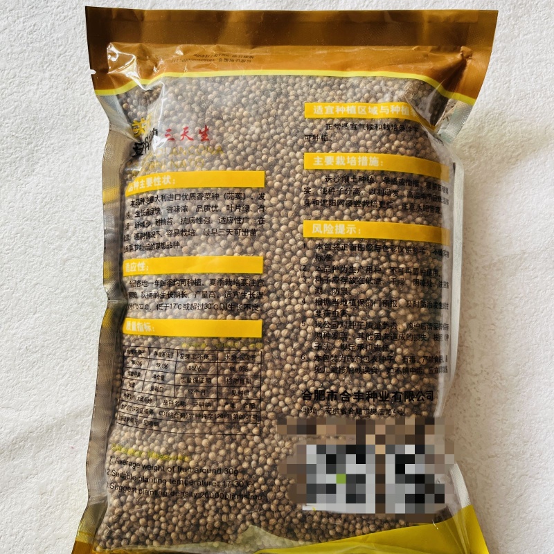 安科纳三天出四季香菜种子大叶芫荽阳台种菜食用蔬菜盆栽种籽