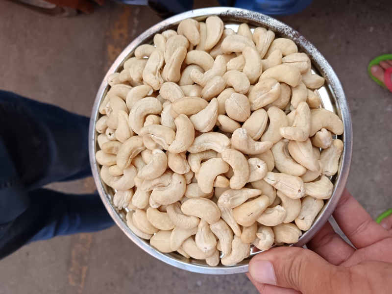 腰果所有规格型号都有