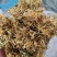 【荐】贵州野生金银花生晒无硫，货源充足，品质保证，欢迎选购
