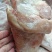 猪前肘，新货速冻，带肉率高，颜色鲜亮