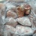 猪前肘，新货速冻，带肉率高，颜色鲜亮