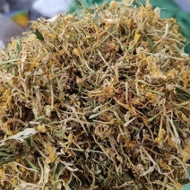 【荐】贵州野生金银花生晒无硫，货源充足，品质保证，欢迎选购