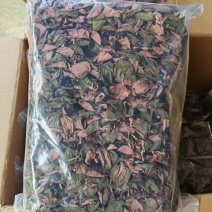 福建南靖正宗金线莲台湾红霞干品整株精品红霞煲汤煮水批发
