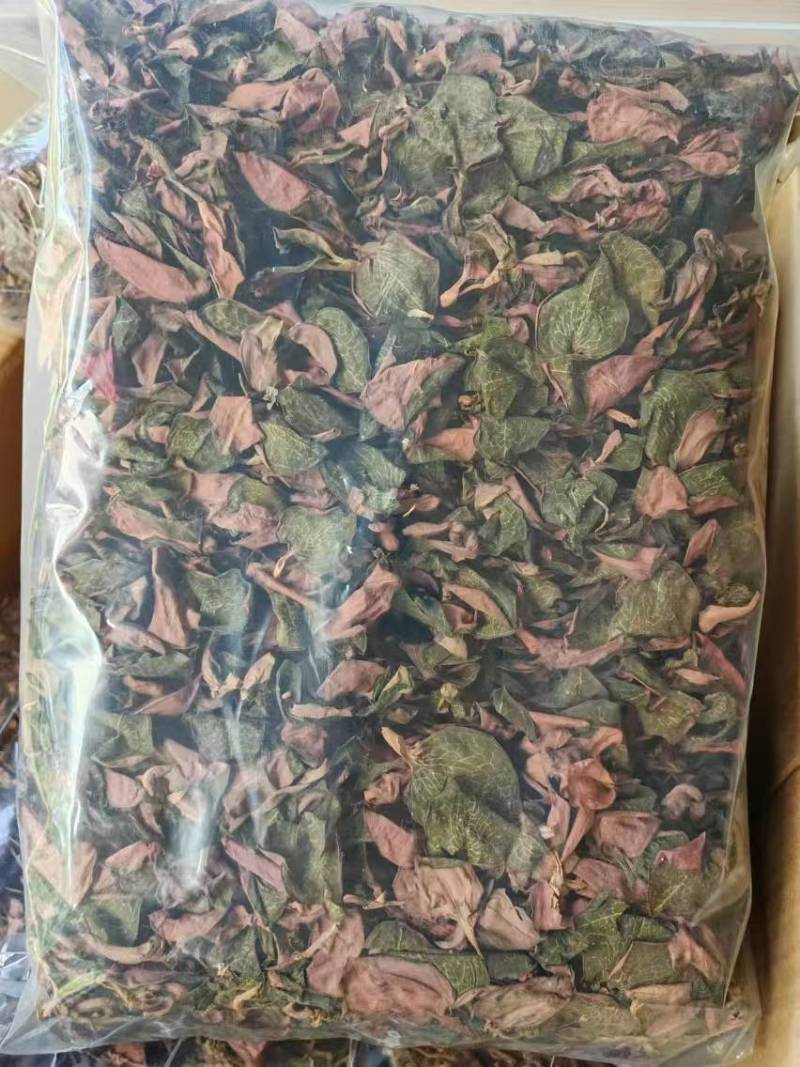 福建南靖正宗金线莲台湾红霞干品整株精品红霞煲汤煮水批发