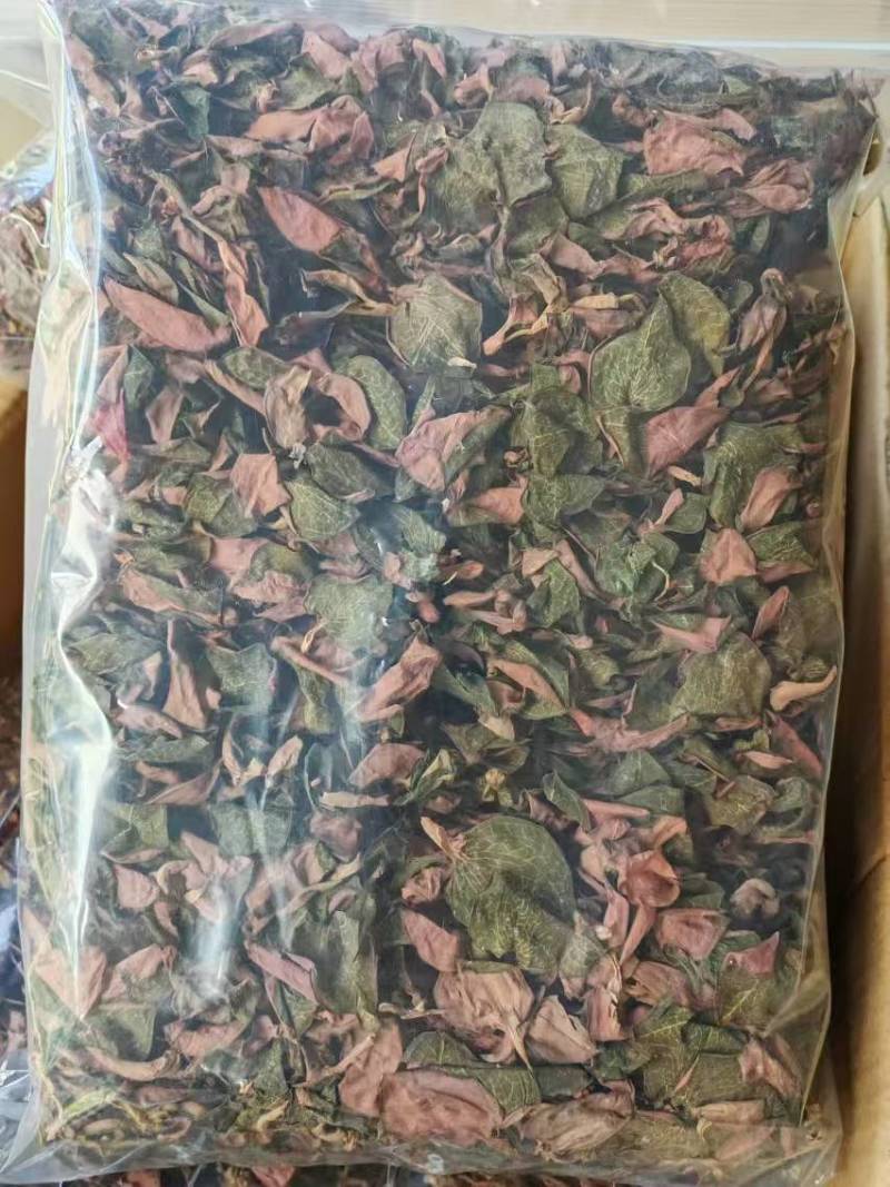 福建南靖正宗金线莲台湾红霞干品整株精品红霞煲汤煮水批发