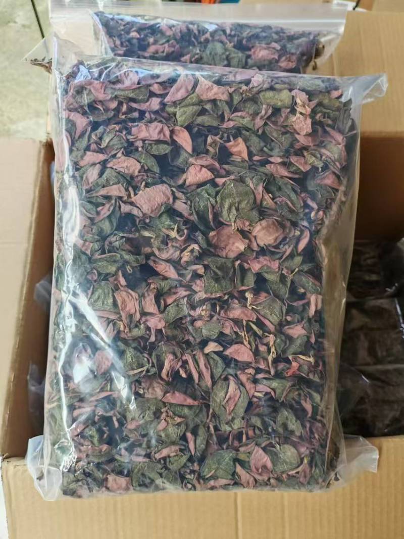福建南靖正宗金线莲台湾红霞干品整株精品红霞煲汤煮水批发